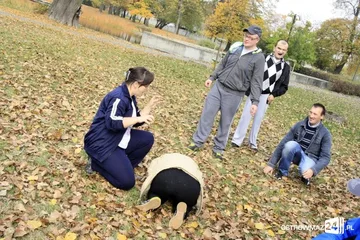 Następne zdjęcie