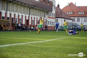 Następne zdjęcie