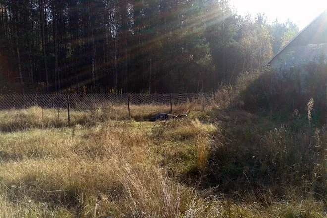 Zabił matkę drewnianym kołkiem (zdjęcia)