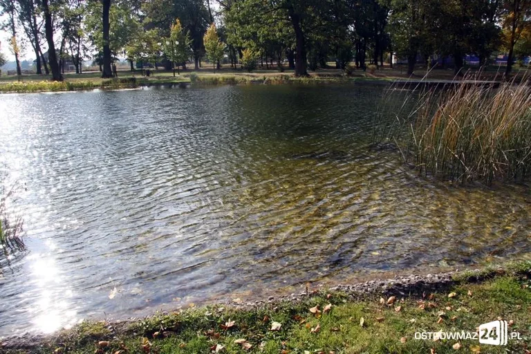 Skrzynka skarg: błędy na tablicy przy stawie (zdjęcia)