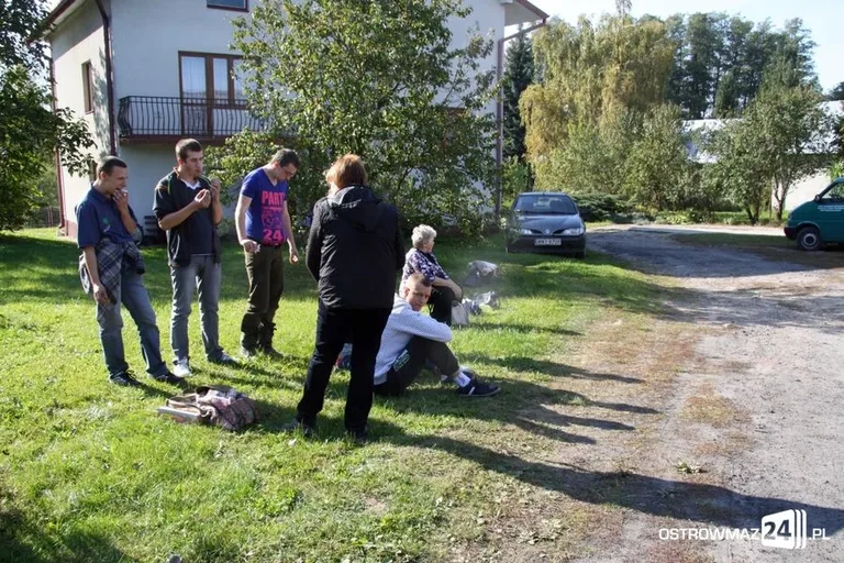 Zerwali ponad dwie tony jabłek (zdjęcia)