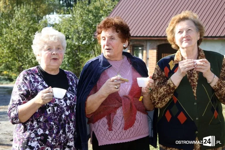 Zerwali ponad dwie tony jabłek (zdjęcia)