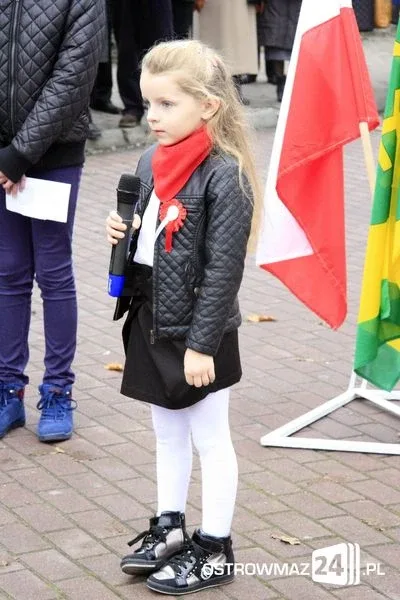 Upamiętnili odzyskanie niepodległości (zdjęcia, wideo)