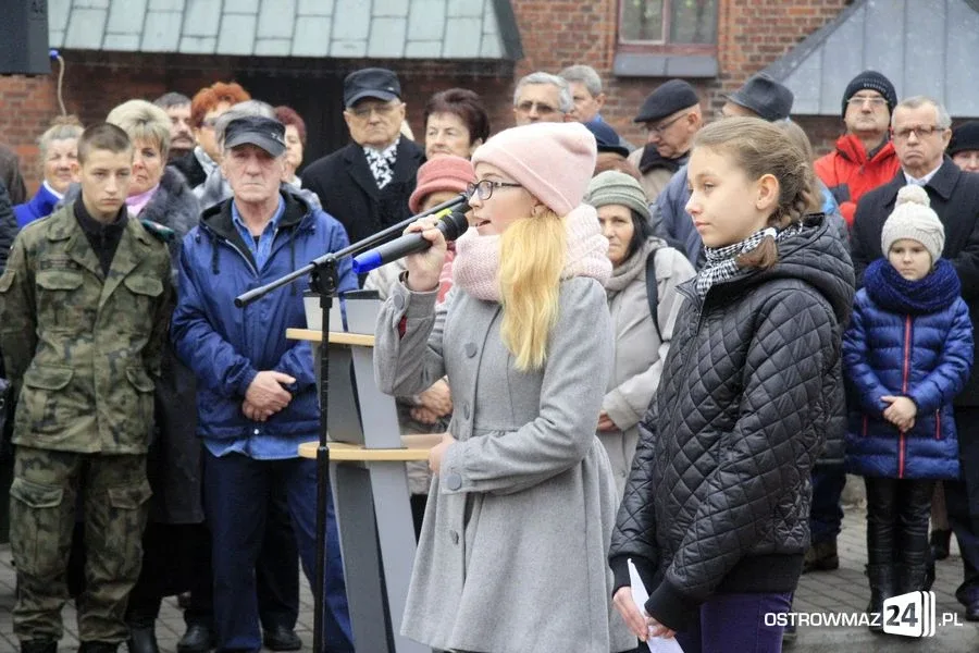 Upamiętnili odzyskanie niepodległości (zdjęcia, wideo)