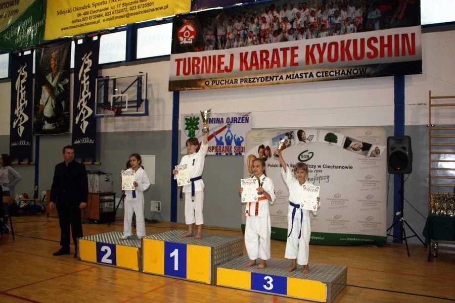 Dziewięć medali ostrowskich karateków (zdjęcia)