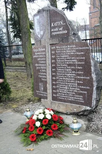Następne zdjęcie