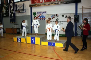 Dziewięć medali ostrowskich karateków (zdjęcia)