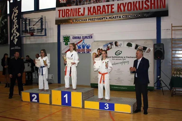 Dziewięć medali ostrowskich karateków (zdjęcia)