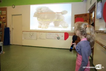 Następne zdjęcie