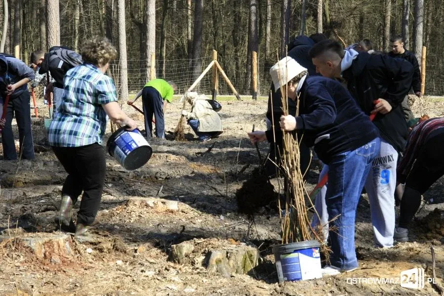 Posadzili ponad 2 200 drzew (zdjęcia)
