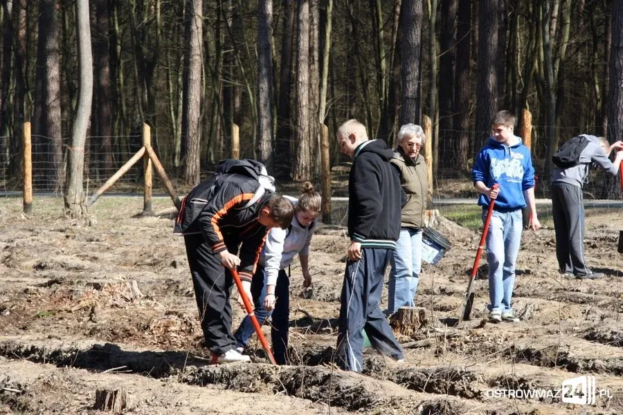 Posadzili ponad 2 200 drzew (zdjęcia)