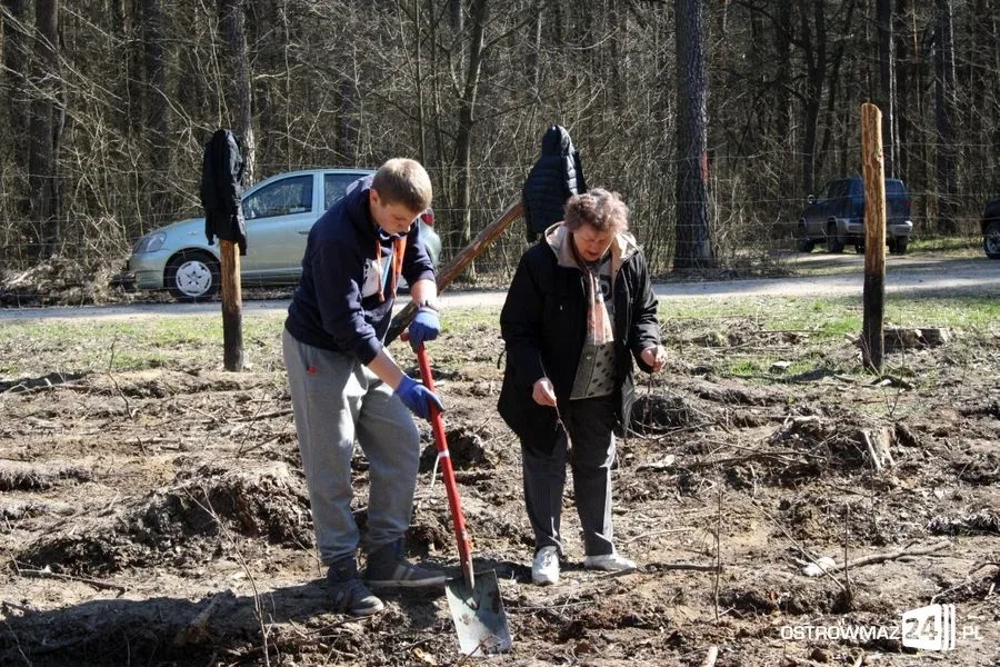 Posadzili ponad 2 200 drzew (zdjęcia)