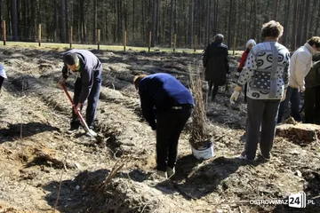 Posadzili ponad 2 200 drzew (zdjęcia)