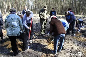 Posadzili ponad 2 200 drzew (zdjęcia)