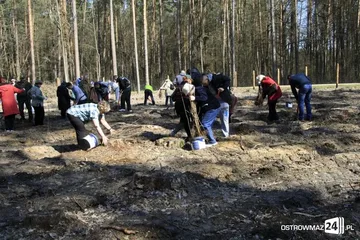 Poprzednie zdjęcie