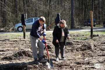 Poprzednie zdjęcie