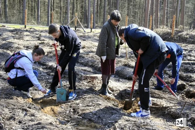 Posadzili ponad 2 200 drzew (zdjęcia)