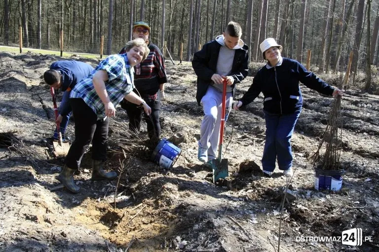 Posadzili ponad 2 200 drzew (zdjęcia)