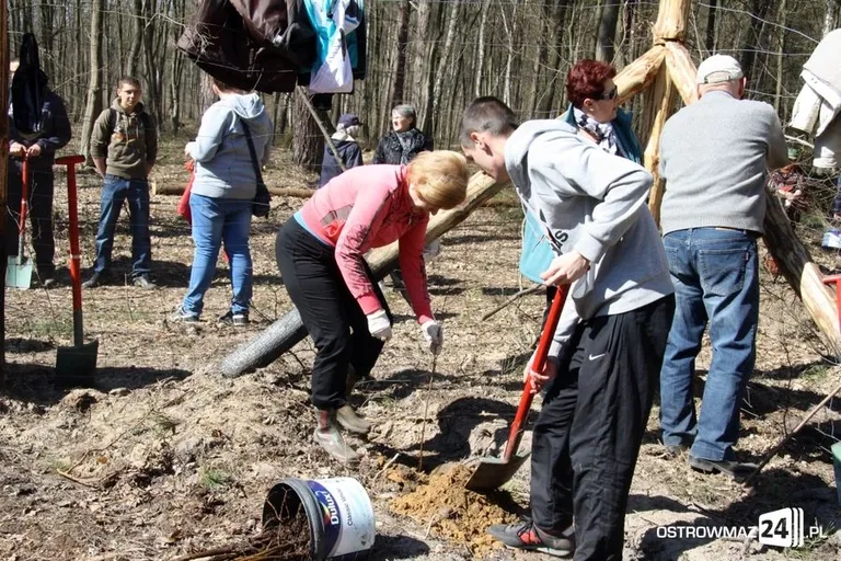 Posadzili ponad 2 200 drzew (zdjęcia)