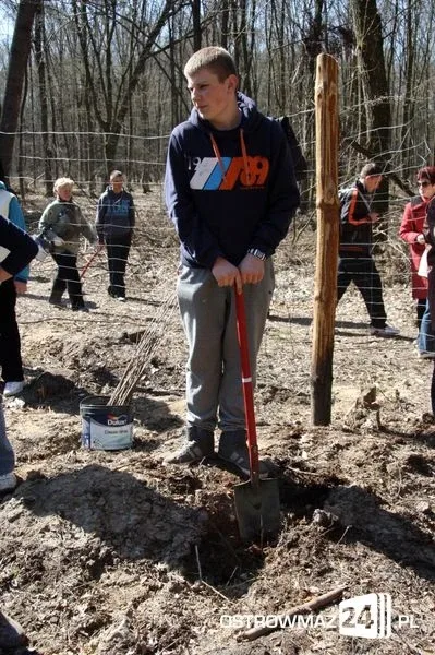 Posadzili ponad 2 200 drzew (zdjęcia)