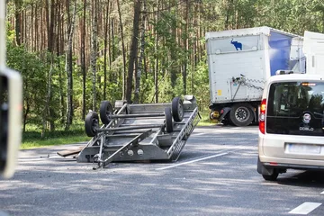 Poprzednie zdjęcie