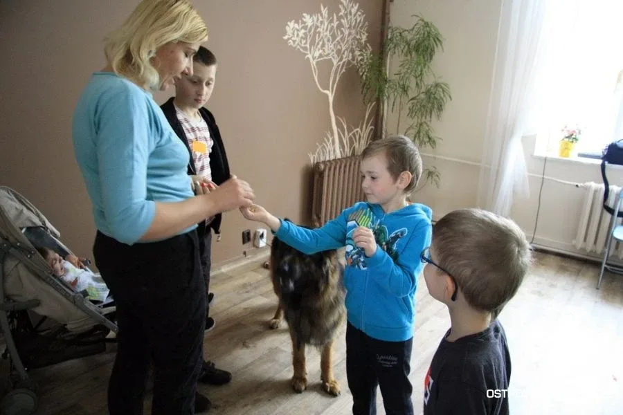 W Amelii wesoło i kolorowo (zdjęcia)