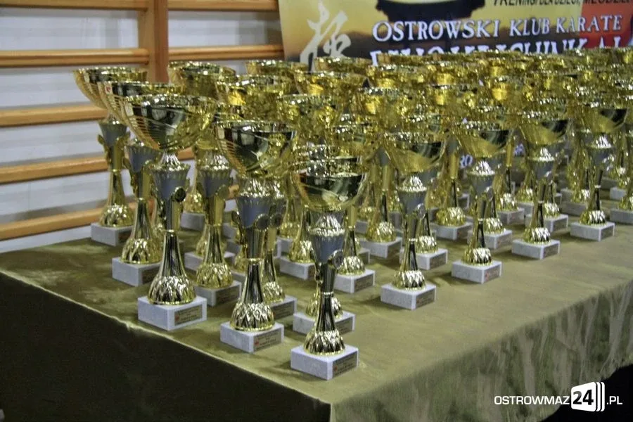 Ogólnopolski Turniej Karate w Ostrowi Maz. (zdjęcia)