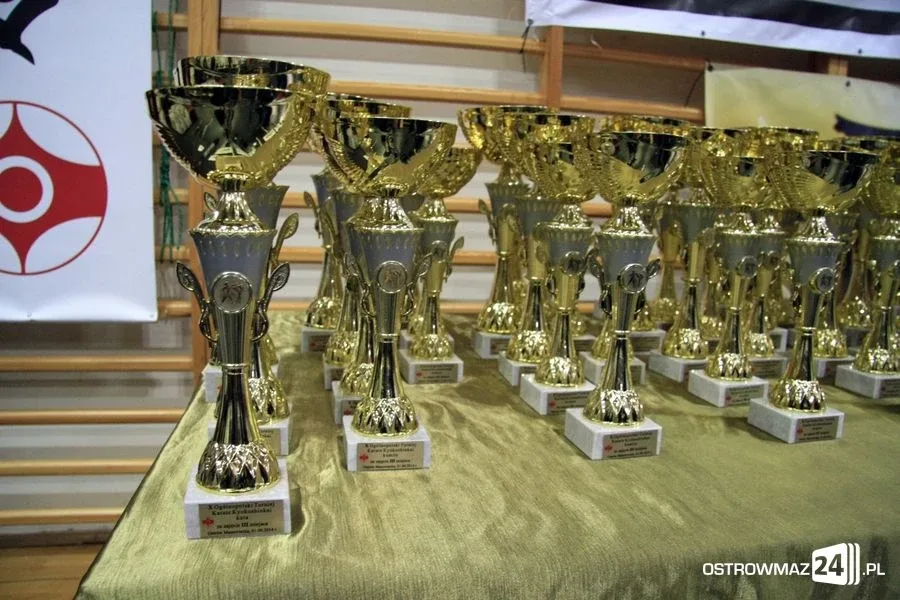 Ogólnopolski Turniej Karate w Ostrowi Maz. (zdjęcia)