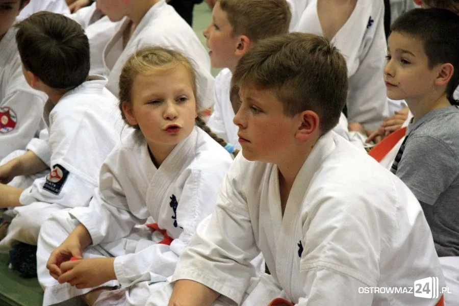 Ogólnopolski Turniej Karate w Ostrowi Maz. (zdjęcia)