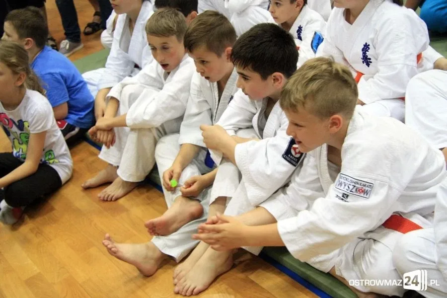 Ogólnopolski Turniej Karate w Ostrowi Maz. (zdjęcia)