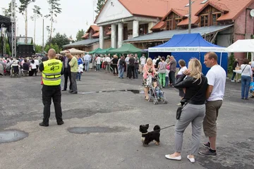 Poprzednie zdjęcie