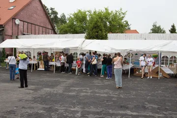 Poprzednie zdjęcie