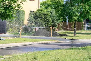 Poprzednie zdjęcie