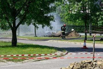 Następne zdjęcie