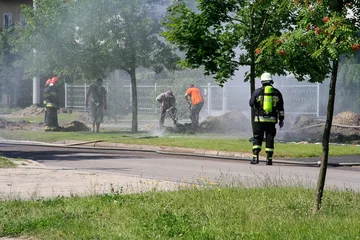 Poprzednie zdjęcie