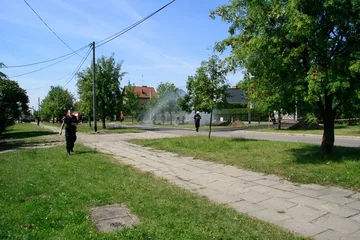 Następne zdjęcie