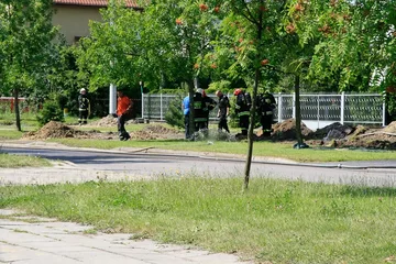 Następne zdjęcie