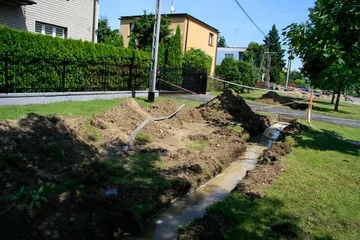 Następne zdjęcie