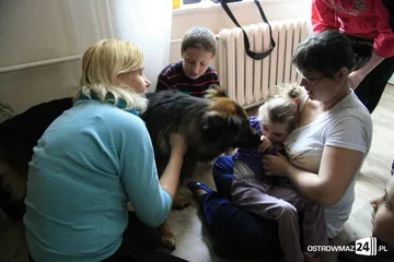 Poprzednie zdjęcie