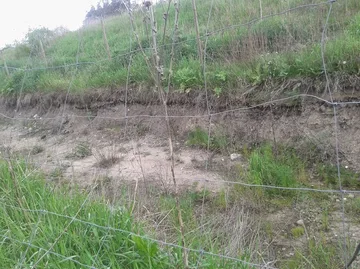 Skrzynka skarg: Co się dzieje z Nasycalnią? (zdjęcia)
