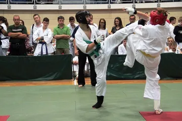 Ogólnopolski Turniej Karate w Ostrowi Maz. (zdjęcia)