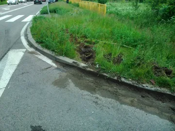 Wypadek w Tyszkach-Gosterach (nowe fakty)