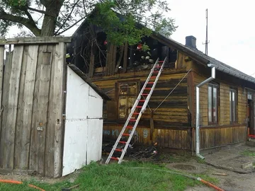 Następne zdjęcie