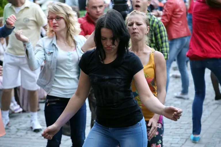 Gala disco polo w Czerwinie (zdjęcia, wideo)