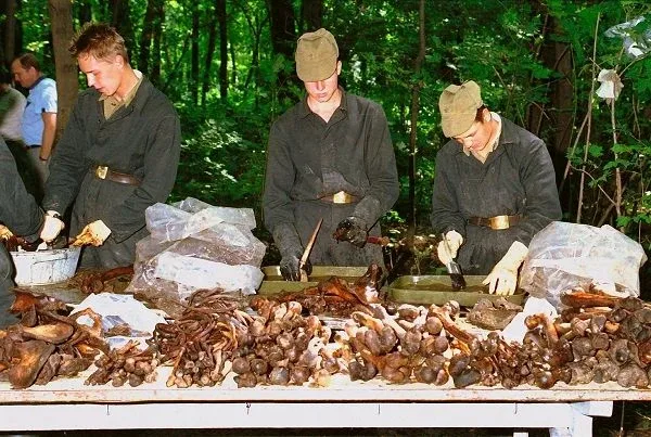 Prelekcja w UM i UG Brok (zdjęcia)