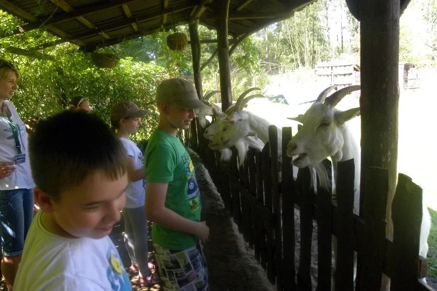 Dzieci na wycieczce w Glinie (zdjęcia)