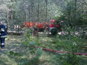 Pożar lasu w powiecie ostrowskim (zdjęcia)
