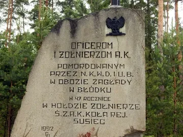 Poprzednie zdjęcie