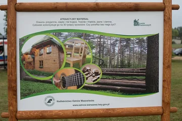 Następne zdjęcie