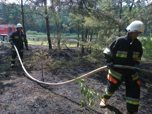 Pożar lasu w powiecie ostrowskim (zdjęcia)